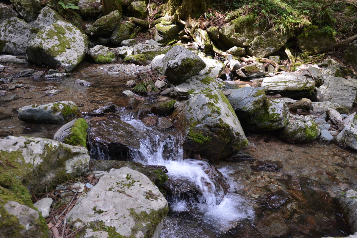 f:id:kurokoshusaru:20200531163800j:plain