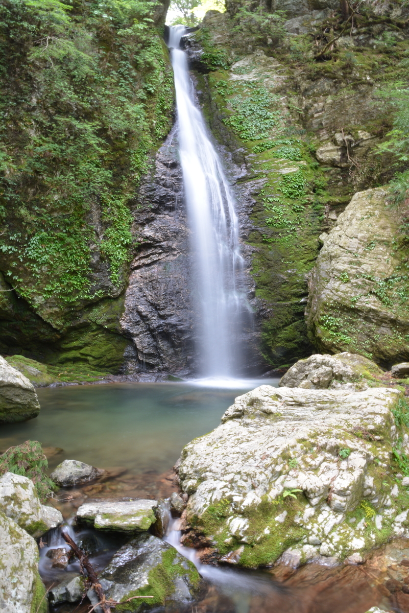 f:id:kurokoshusaru:20200531163919j:plain