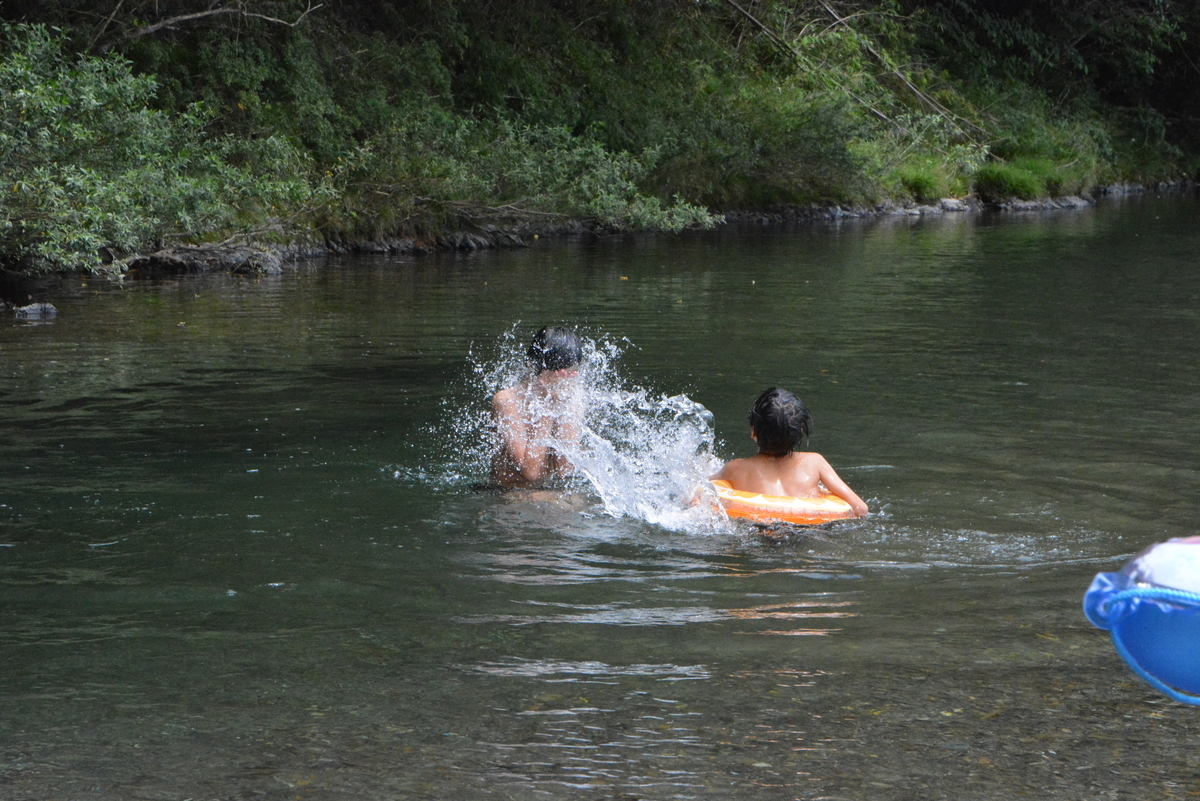 f:id:kurokoshusaru:20200811213814j:plain