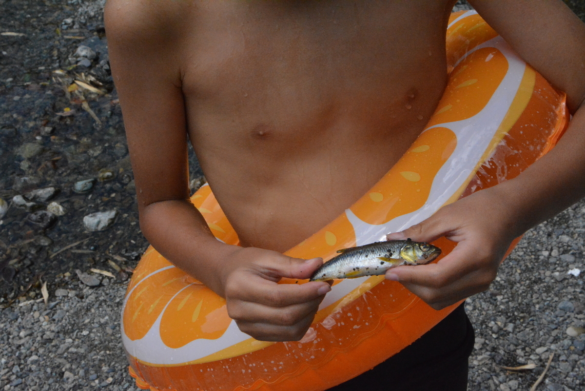 f:id:kurokoshusaru:20200811213858j:plain