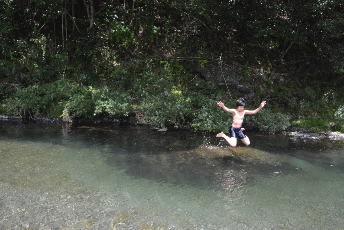 f:id:kurokoshusaru:20200811213948j:plain