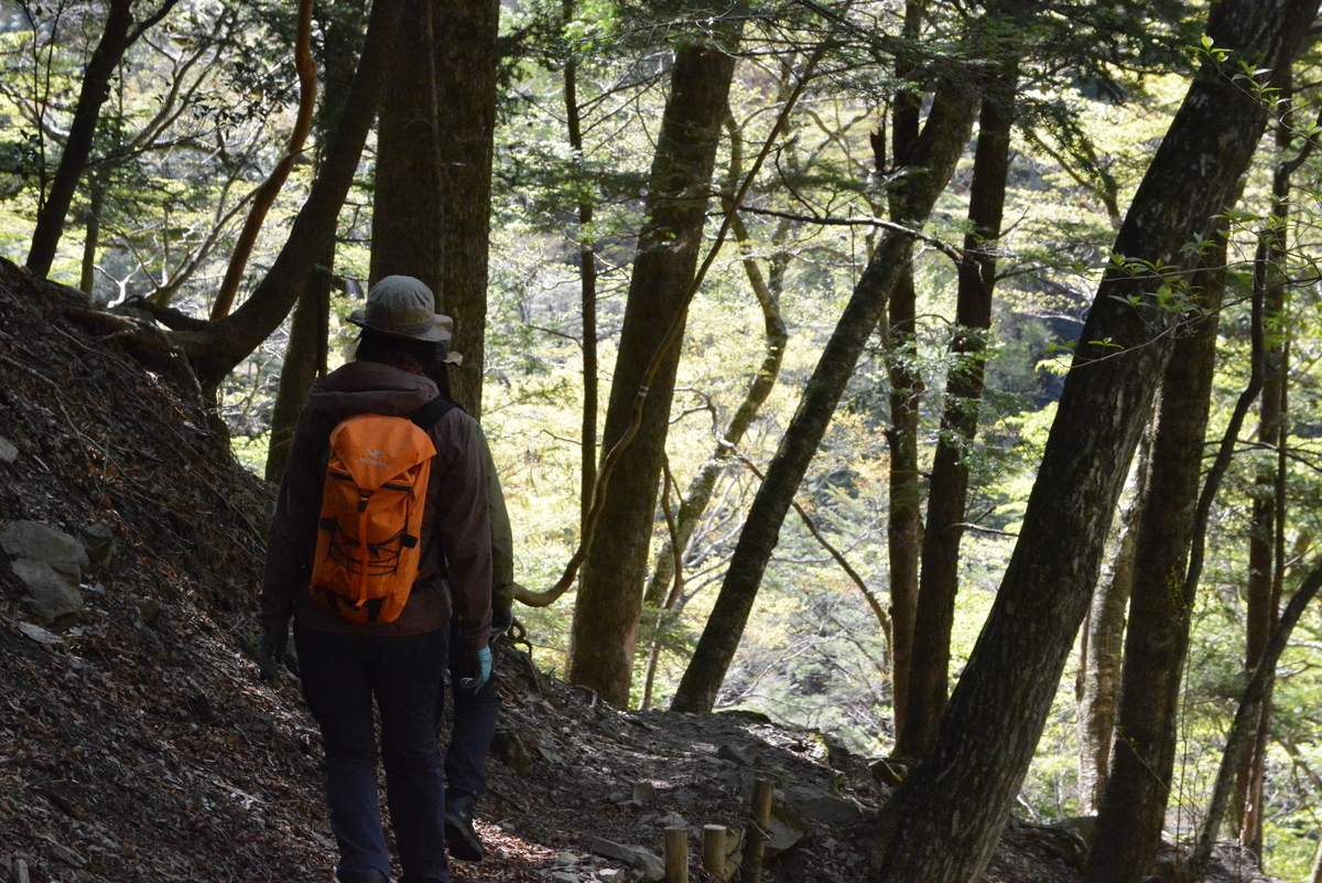 f:id:kurokoshusaru:20210505152716j:plain