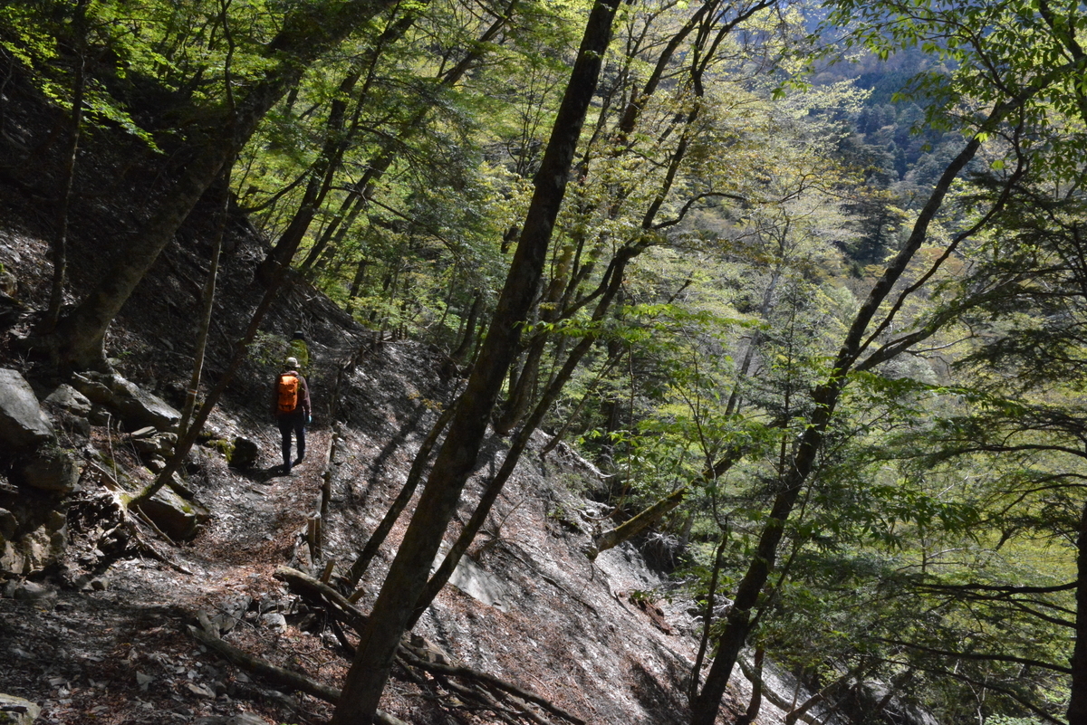 f:id:kurokoshusaru:20210505152859j:plain