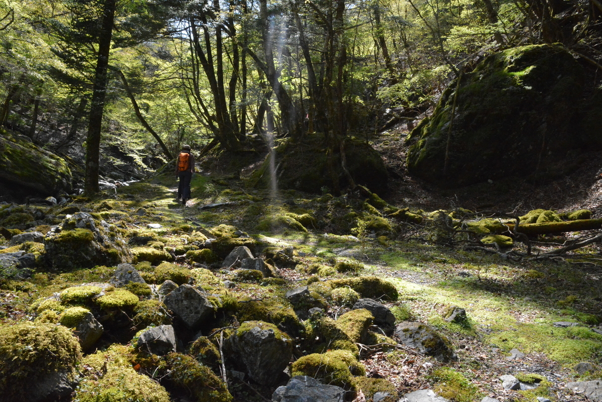 f:id:kurokoshusaru:20210505153021j:plain