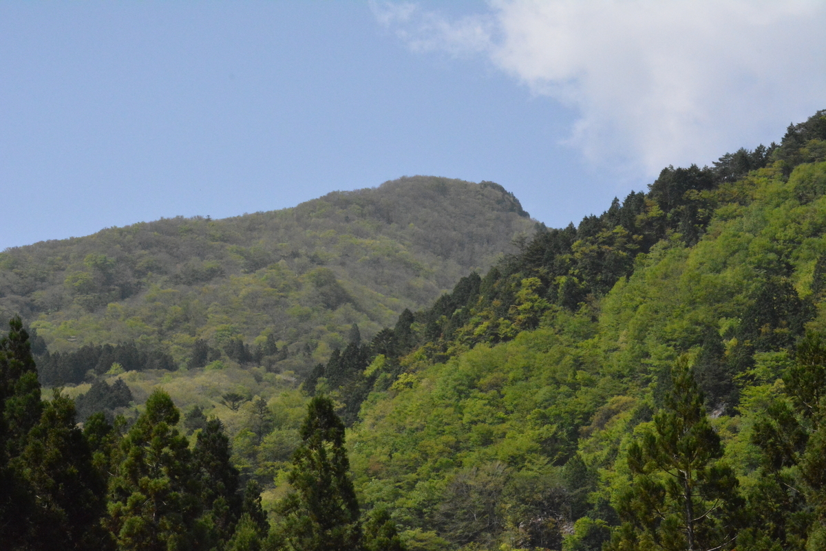 f:id:kurokoshusaru:20210510133923j:plain