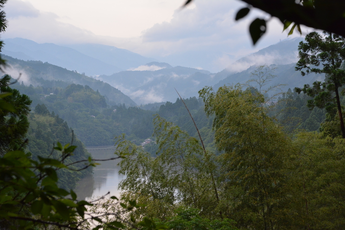 f:id:kurokoshusaru:20210523074528j:plain