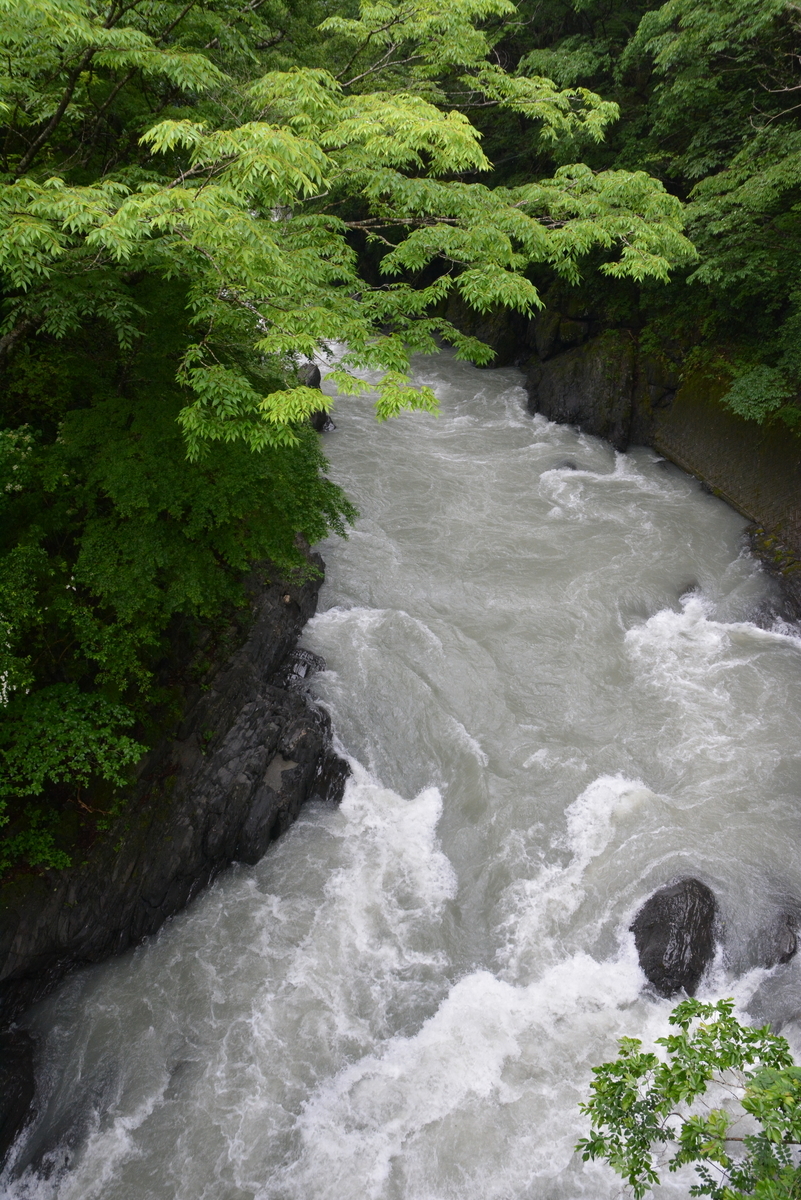 f:id:kurokoshusaru:20210523075230j:plain