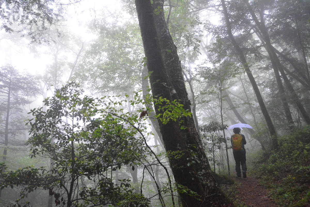 f:id:kurokoshusaru:20210613163844j:plain