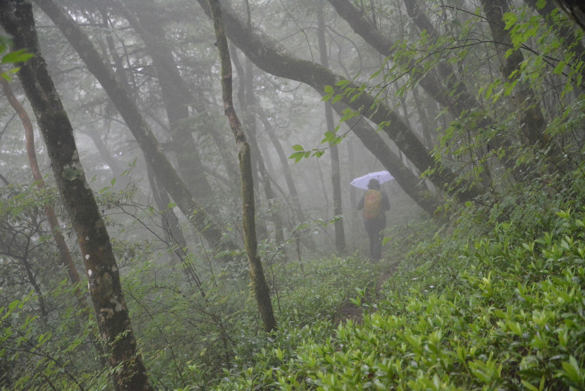 f:id:kurokoshusaru:20210613164315j:plain