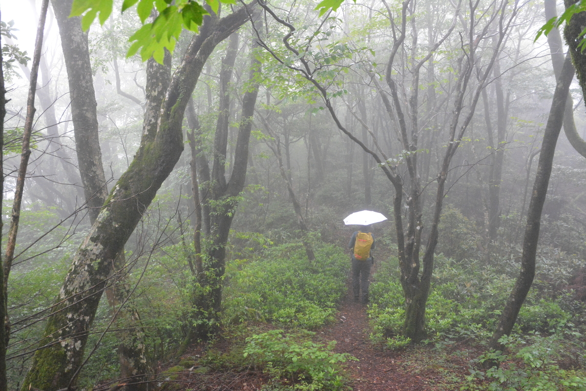 f:id:kurokoshusaru:20210613164731j:plain