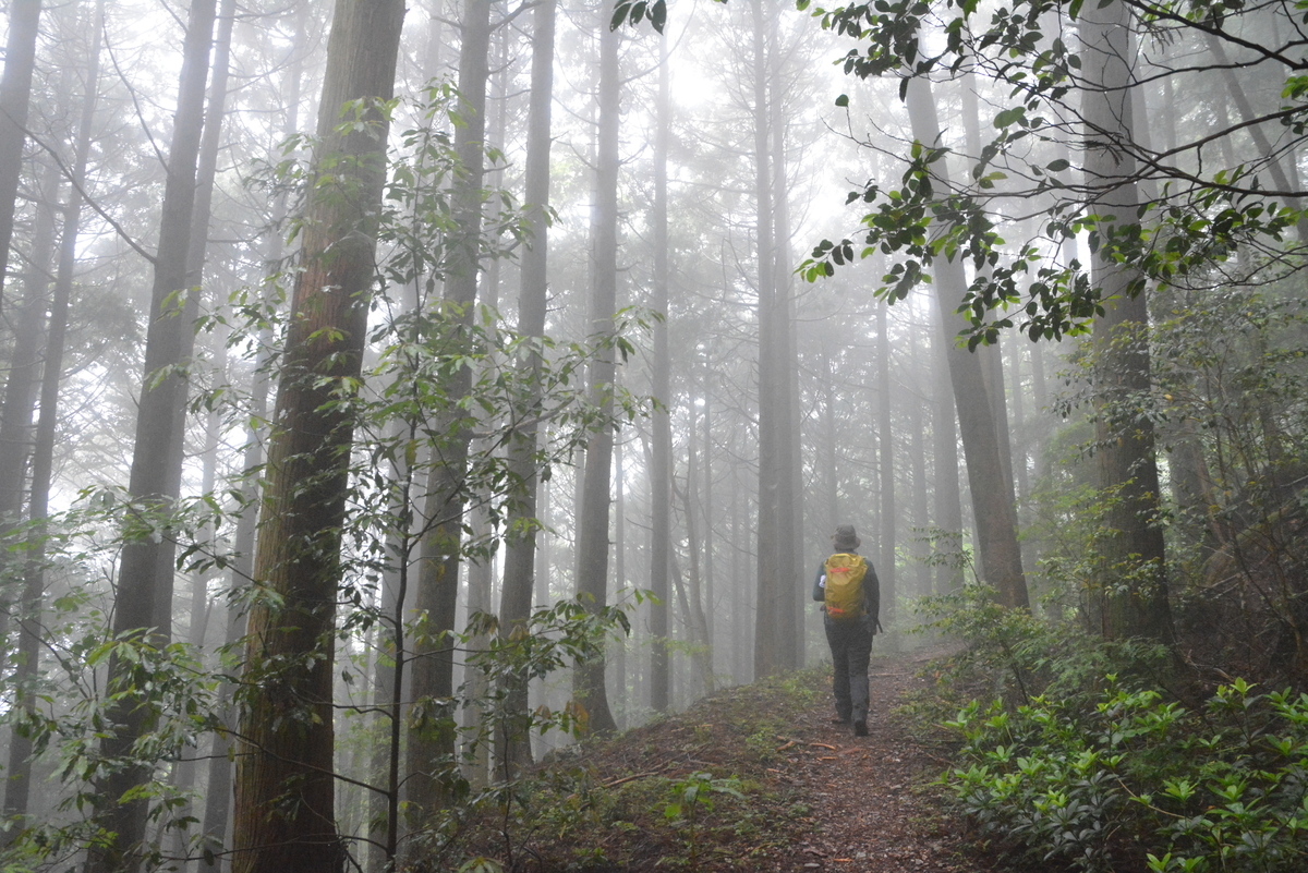 f:id:kurokoshusaru:20210619222336j:plain