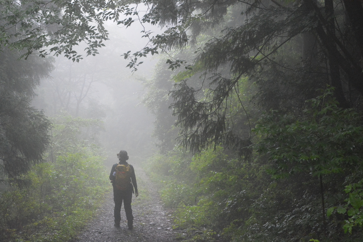 f:id:kurokoshusaru:20210619222959j:plain