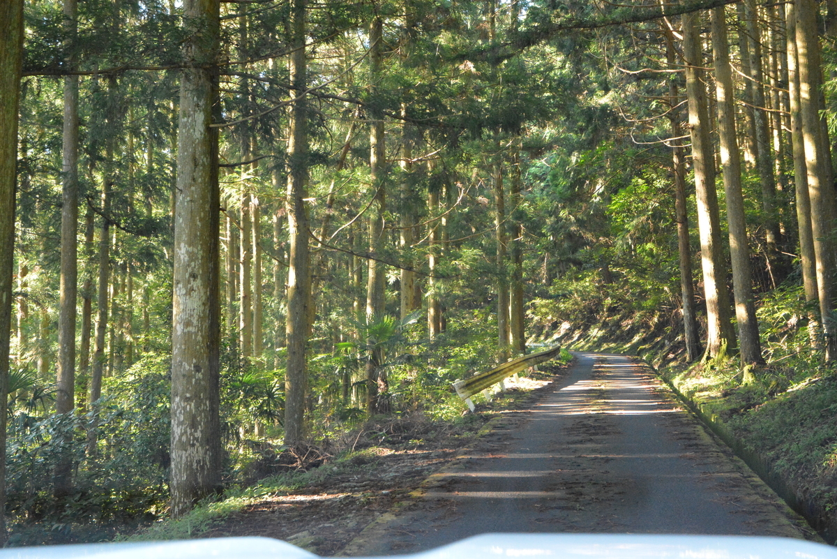 f:id:kurokoshusaru:20210829135932j:plain