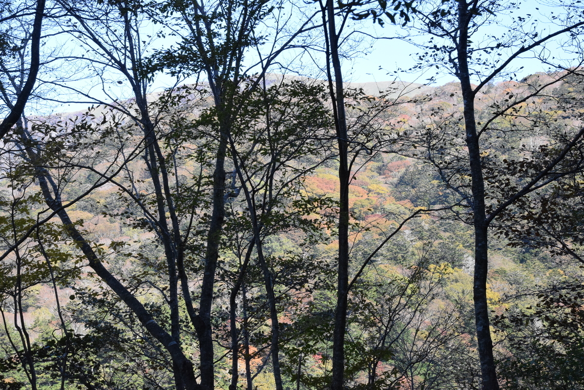 f:id:kurokoshusaru:20211104213548j:plain