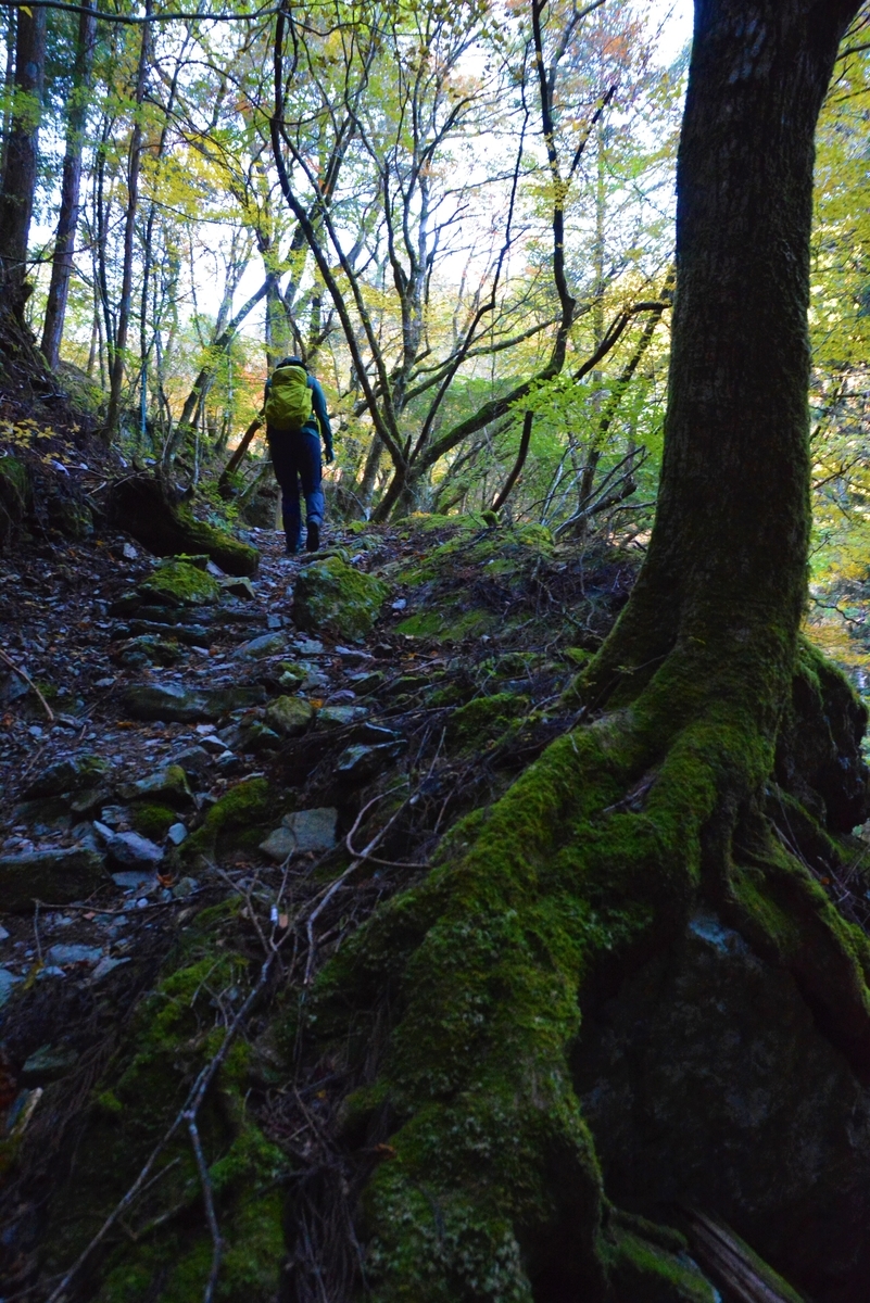 f:id:kurokoshusaru:20211107151231j:plain