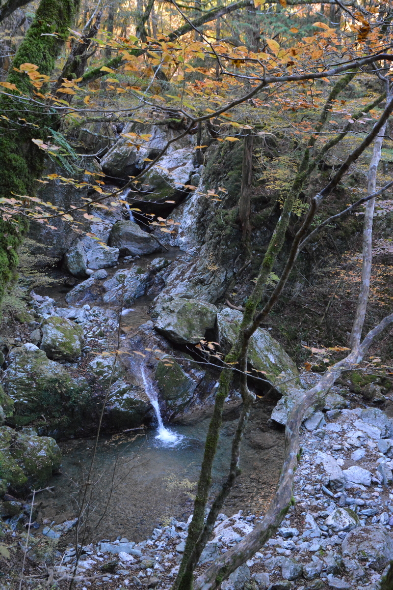 f:id:kurokoshusaru:20211107151327j:plain