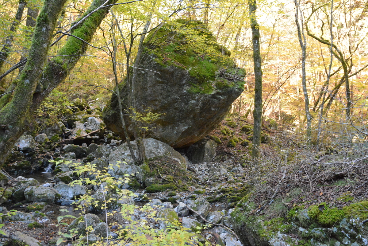 f:id:kurokoshusaru:20211107151536j:plain