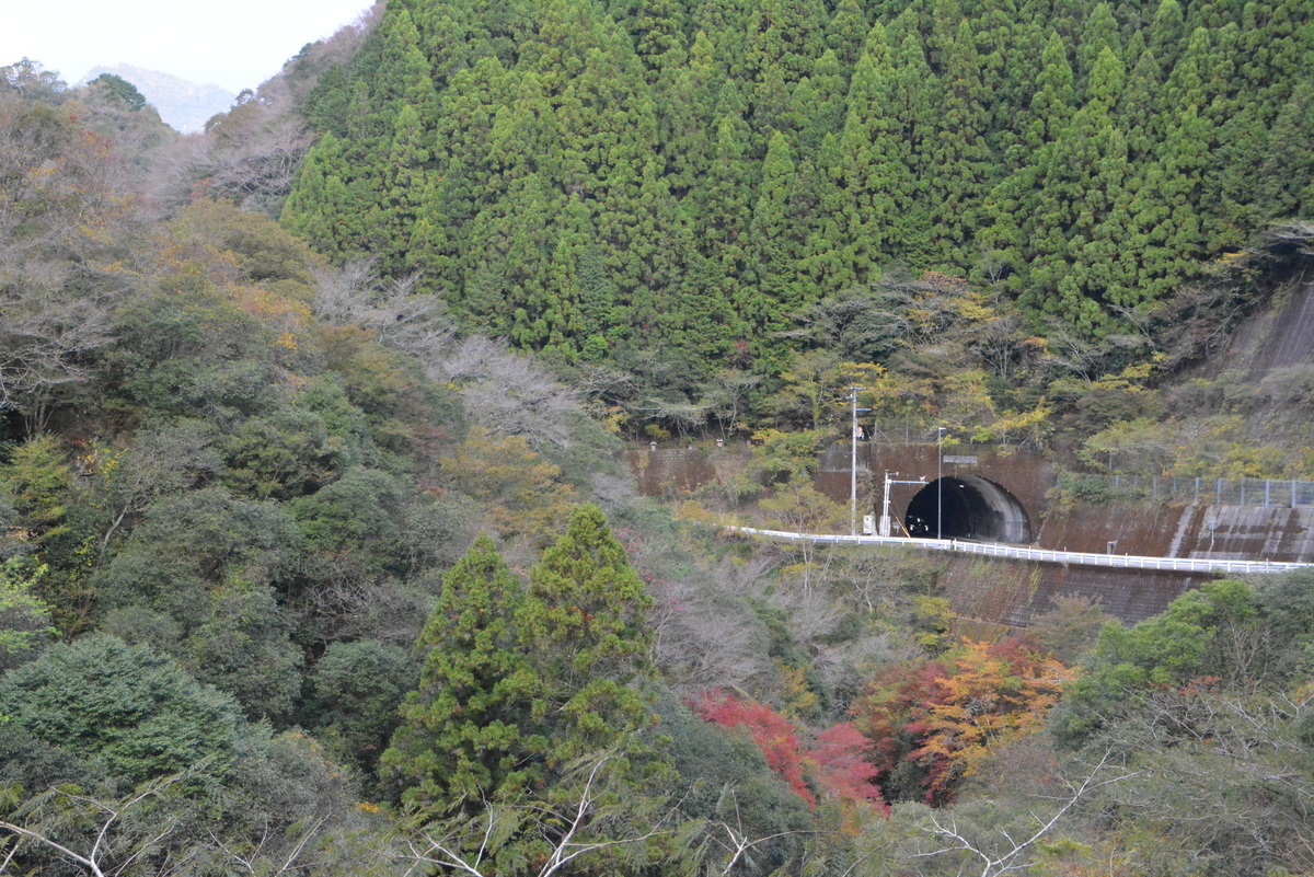 f:id:kurokoshusaru:20211114082330j:plain