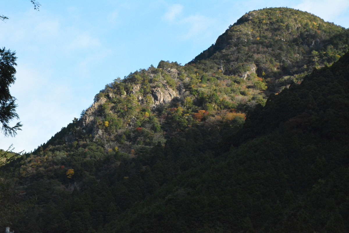 f:id:kurokoshusaru:20211114082746j:plain