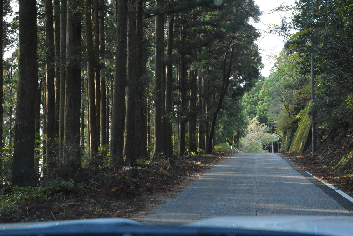 f:id:kurokoshusaru:20211114084200j:plain