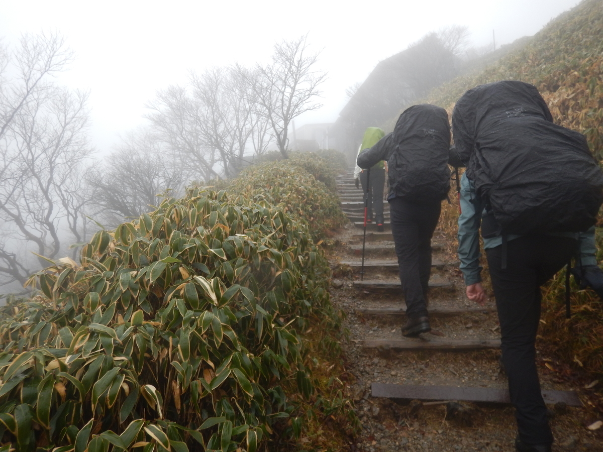 f:id:kurokoshusaru:20211125202922j:plain