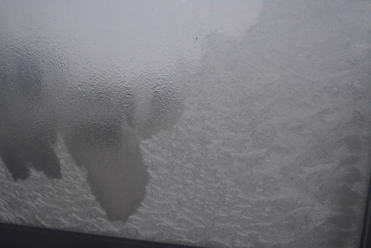 f:id:kurokoshusaru:20211125203828j:plain