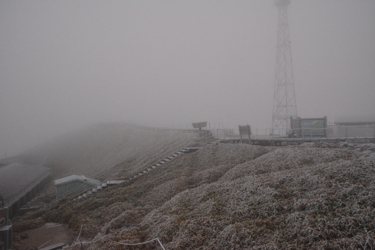 f:id:kurokoshusaru:20211125204043j:plain