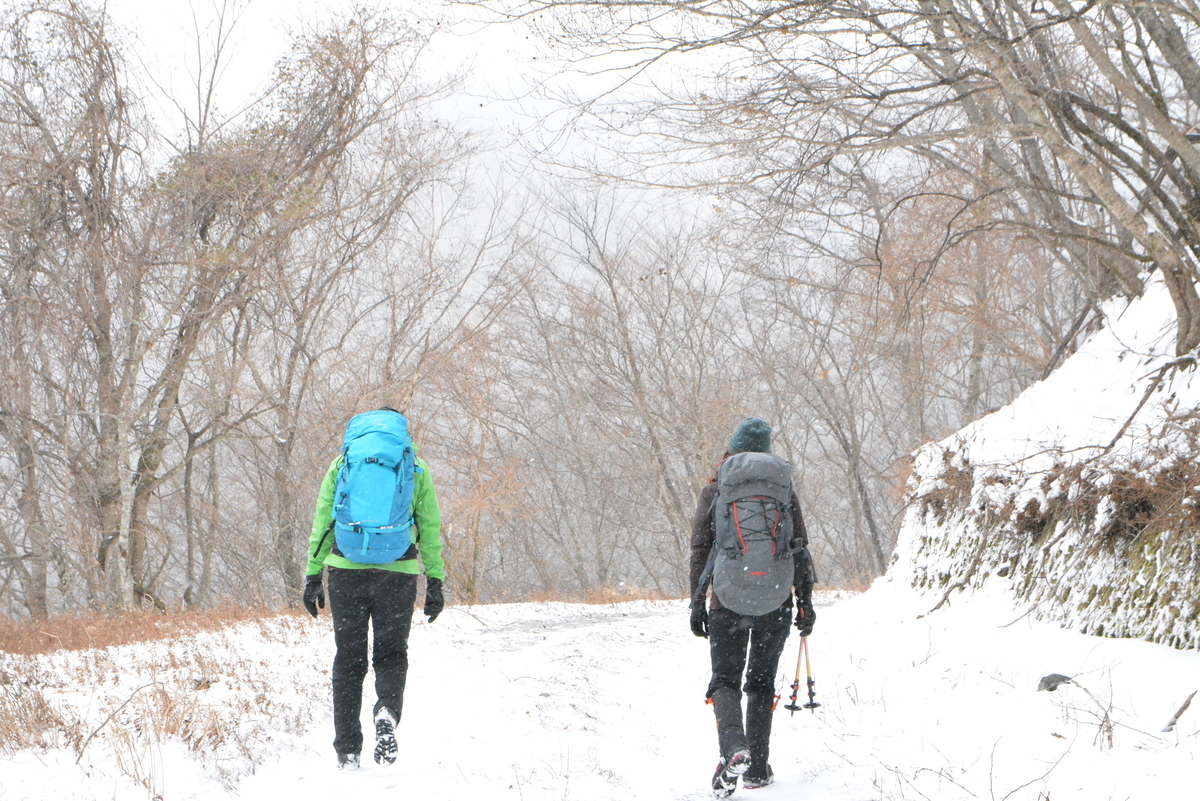 f:id:kurokoshusaru:20211221195024j:plain