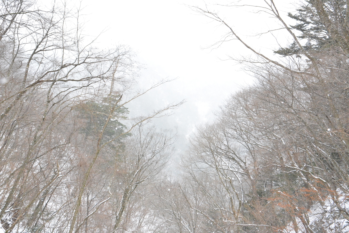 f:id:kurokoshusaru:20211221195124j:plain