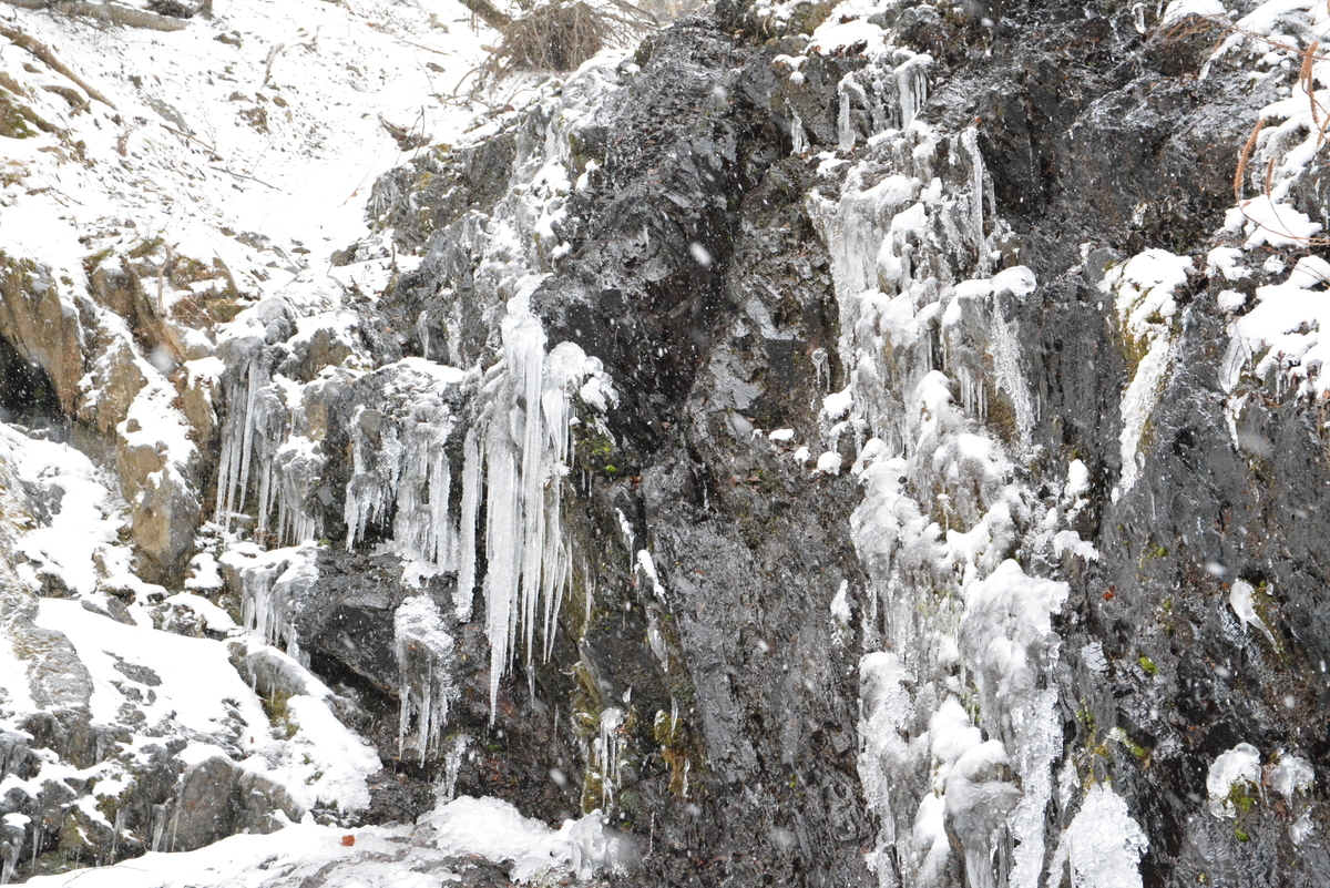 f:id:kurokoshusaru:20211221195203j:plain