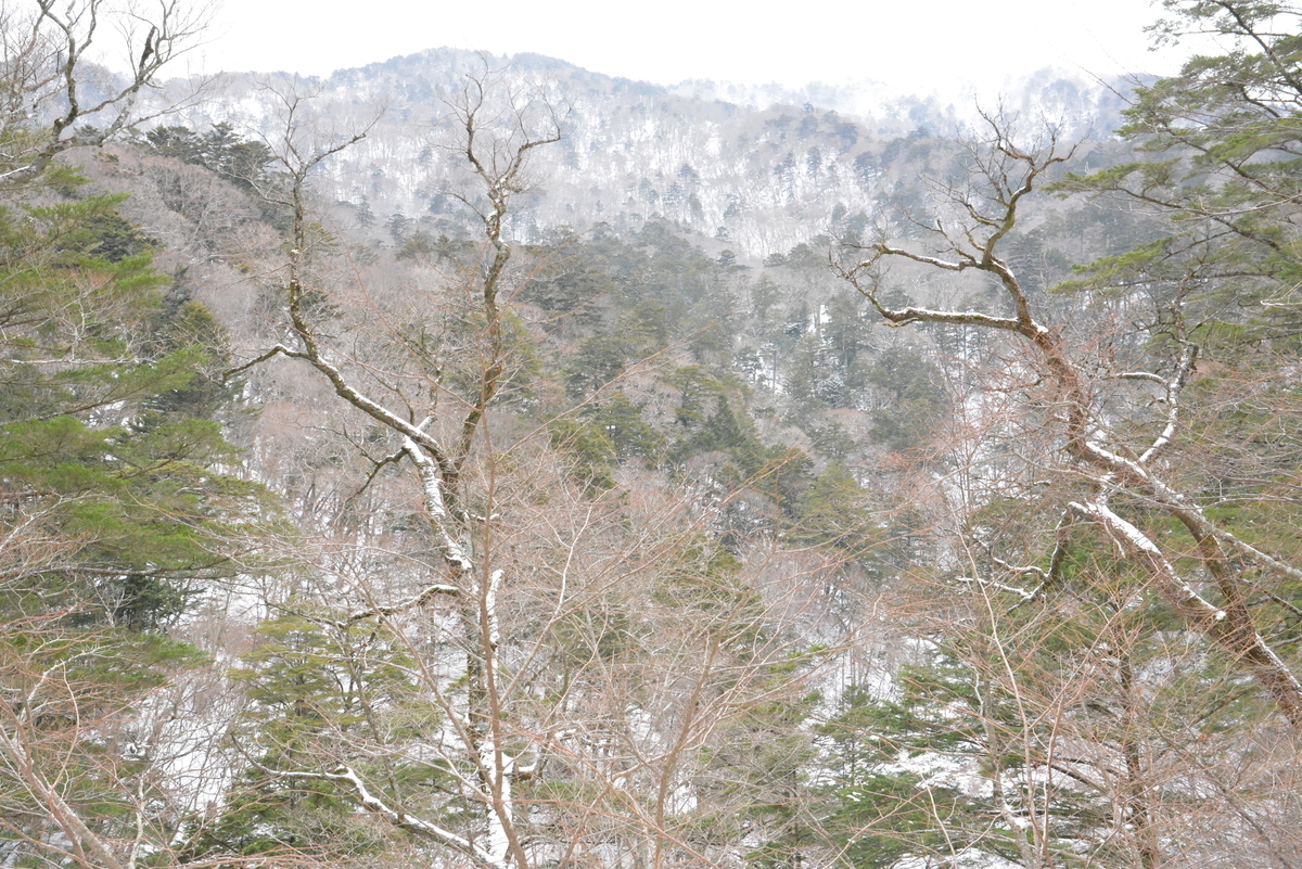 f:id:kurokoshusaru:20211221195446j:plain