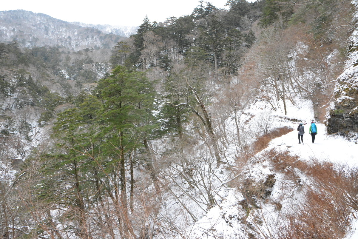 f:id:kurokoshusaru:20211221195515j:plain