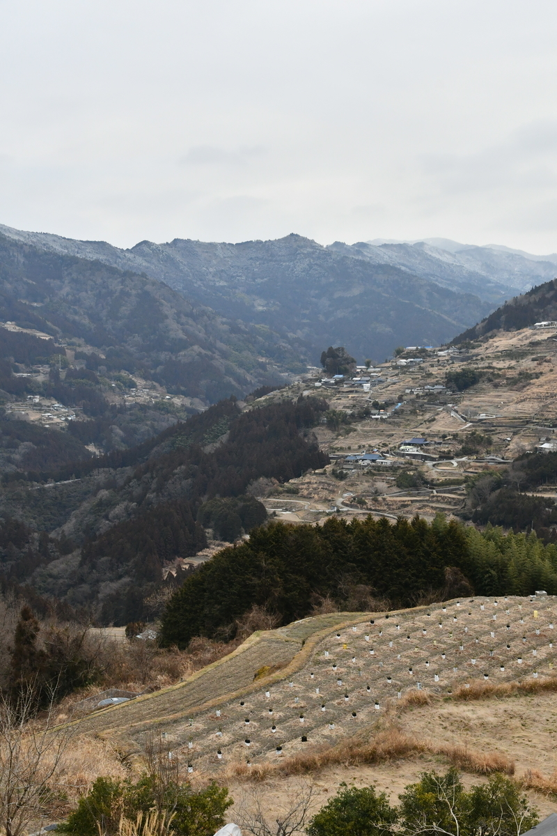 f:id:kurokoshusaru:20220226160709j:plain