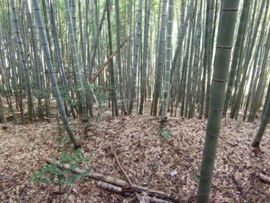 戸吹城 東京都 八王子市 ちょっと山城に 正規運用版