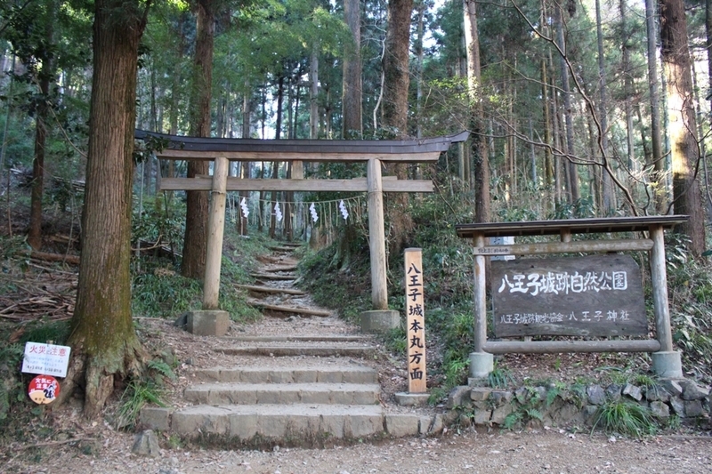 イメージ 17