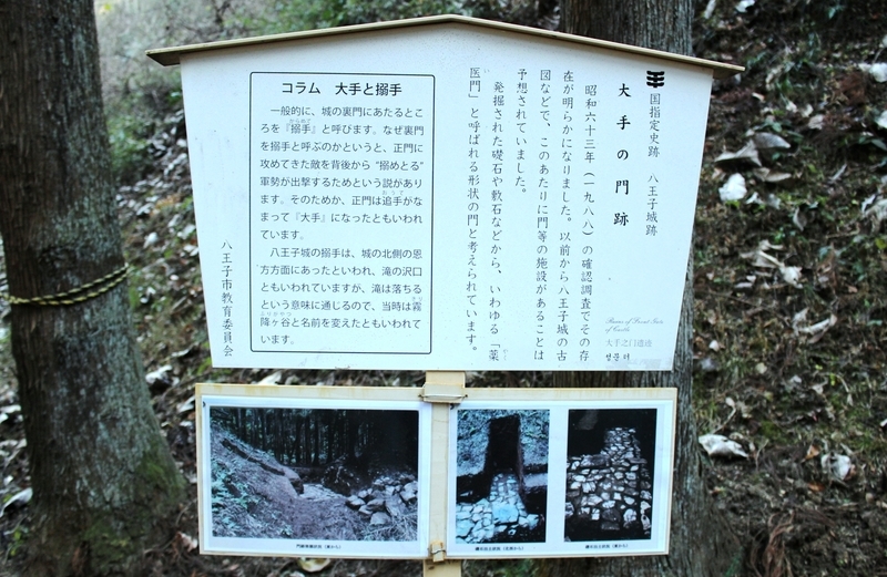 イメージ 7