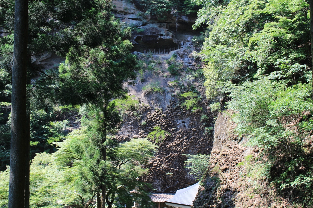 f:id:kurokuwa:20190924000532j:plain f:id:kurokuwa:20190924000532j:plain