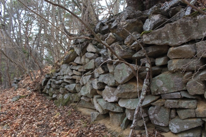 f:id:kurokuwa:20191231153407j:plain