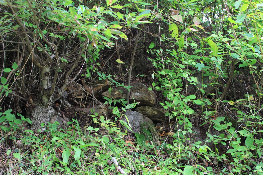 f:id:kurokuwa:20200621233449j:plain