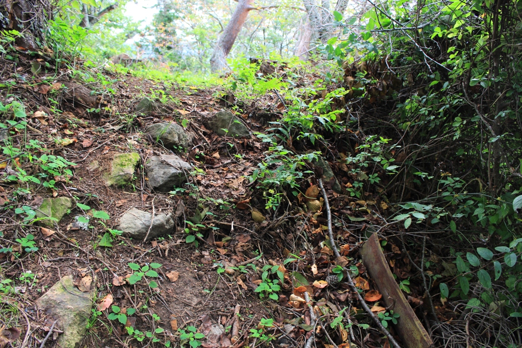 f:id:kurokuwa:20200621233509j:plain