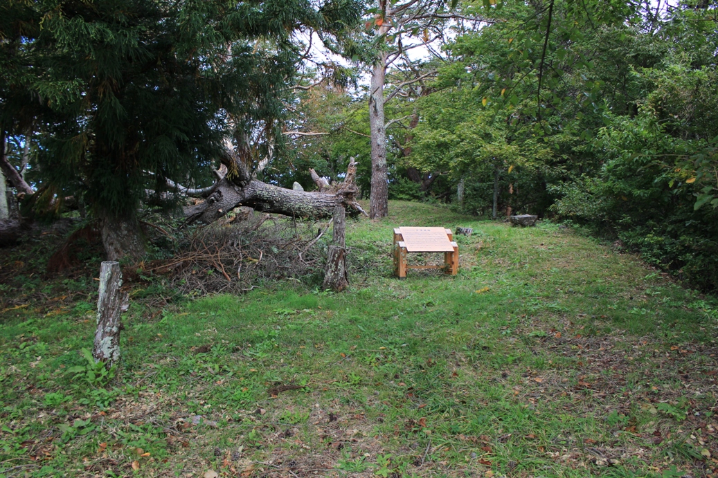 f:id:kurokuwa:20200621233538j:plain