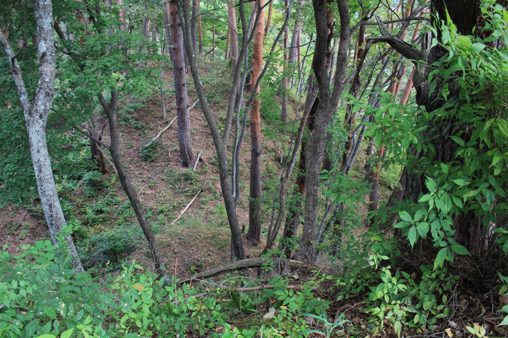 f:id:kurokuwa:20200621233720j:plain