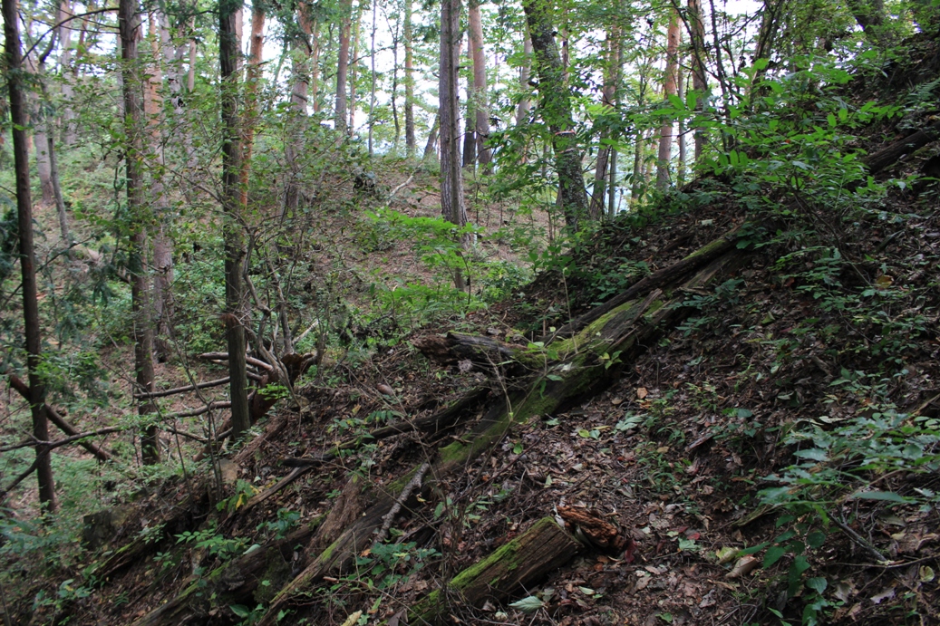 f:id:kurokuwa:20200621233755j:plain