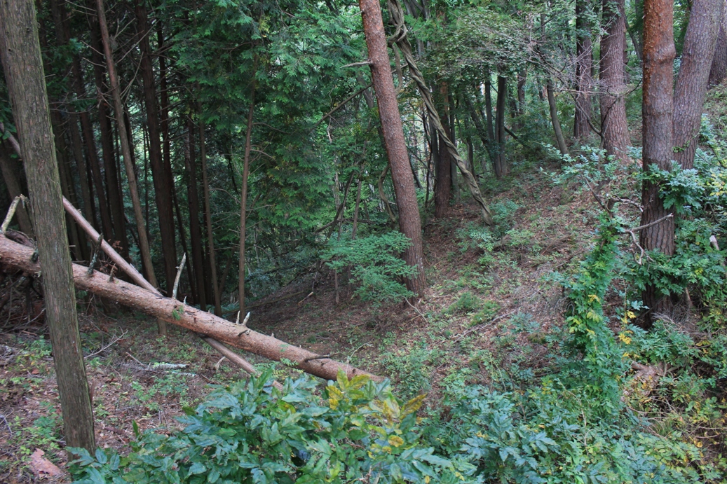 f:id:kurokuwa:20200621233811j:plain