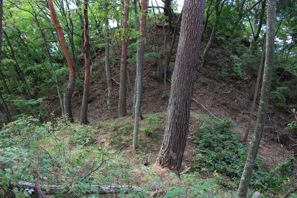 f:id:kurokuwa:20200621233850j:plain