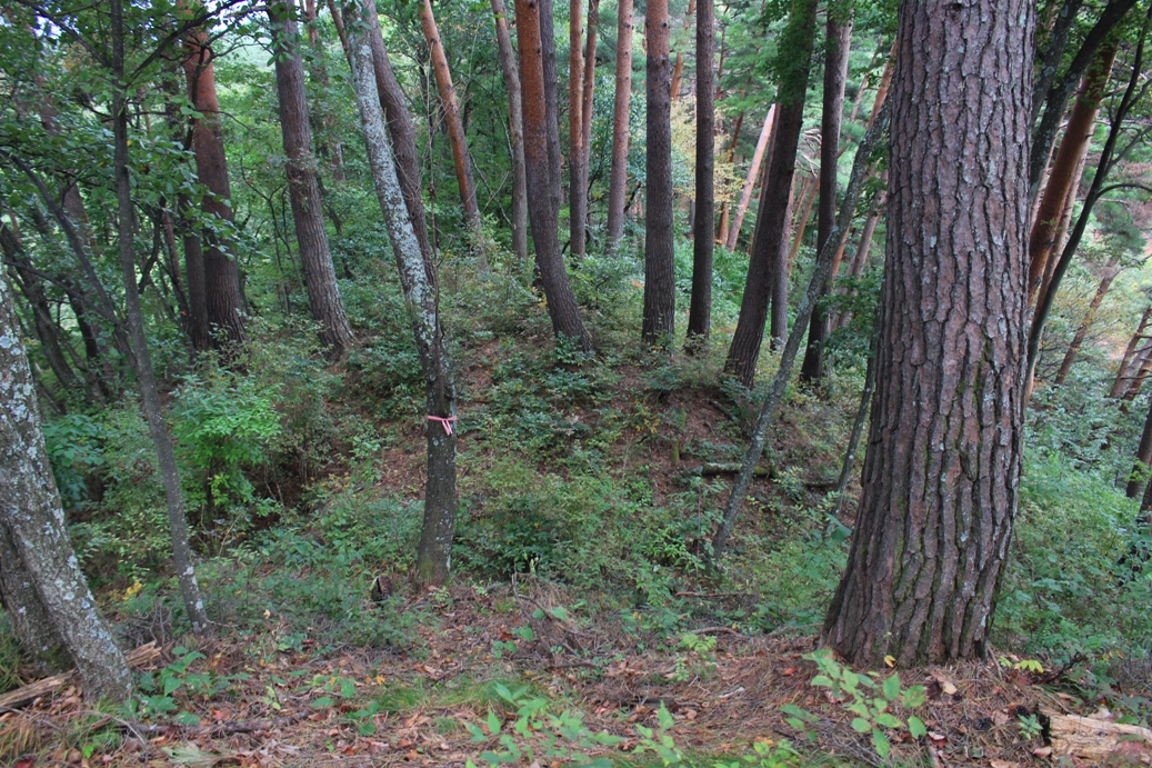 f:id:kurokuwa:20200621233911j:plain