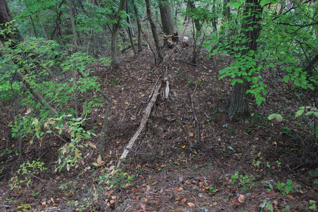 f:id:kurokuwa:20200621233927j:plain