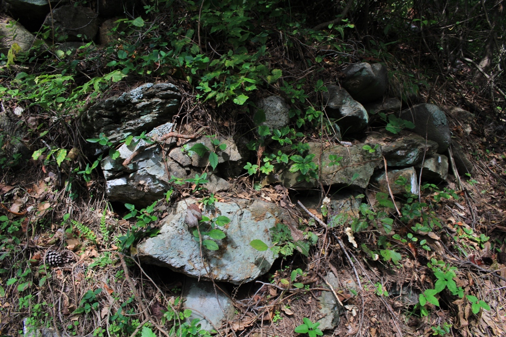 f:id:kurokuwa:20200621234007j:plain