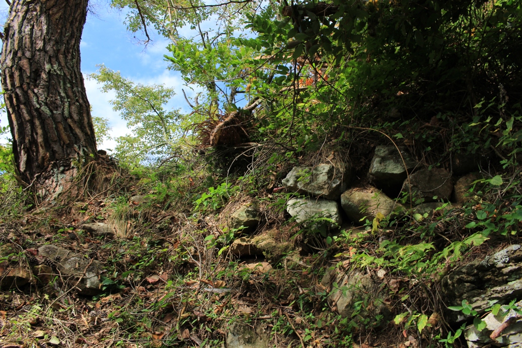 f:id:kurokuwa:20200621234025j:plain