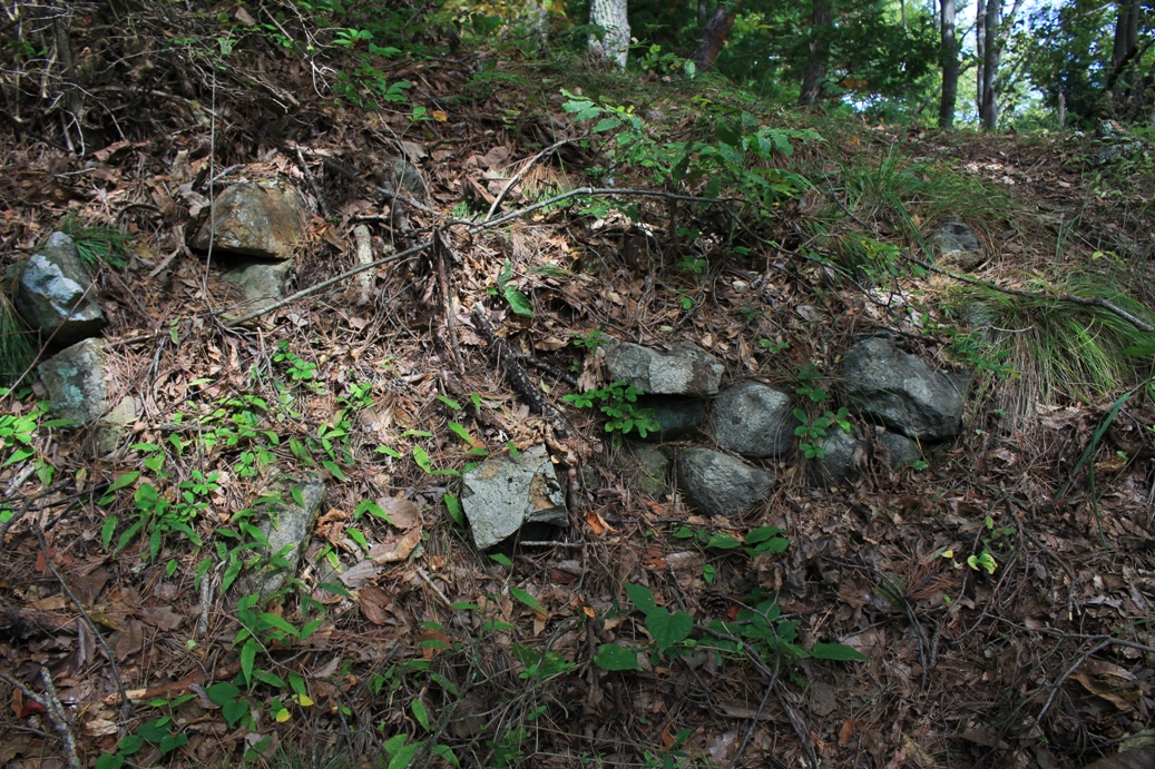 f:id:kurokuwa:20200621234130j:plain